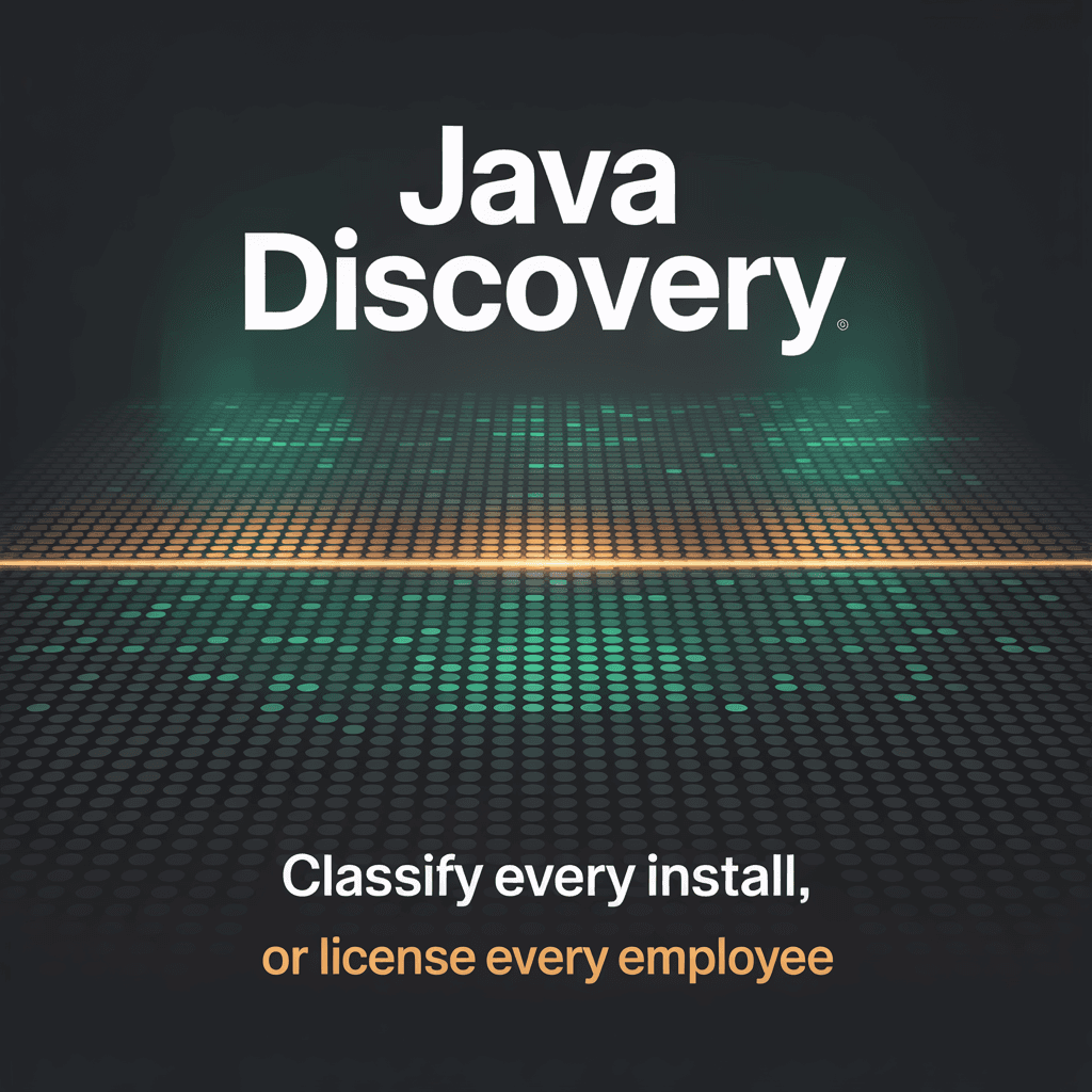 Java Discovery & Compliance Classification visual